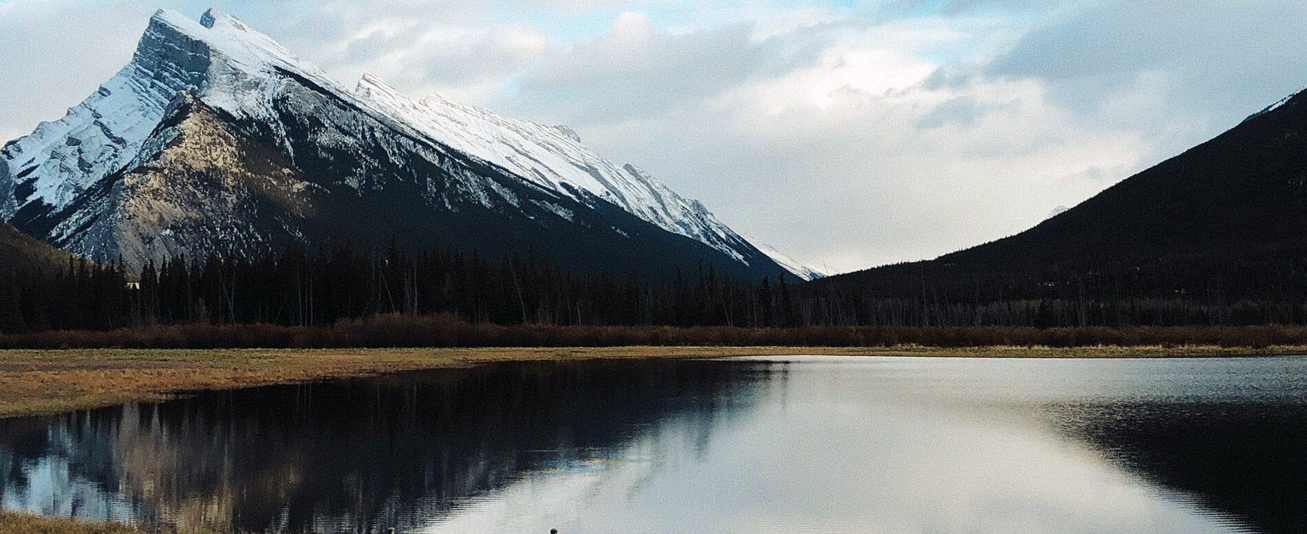 BEST Campsites in Alberta With Mountain Views