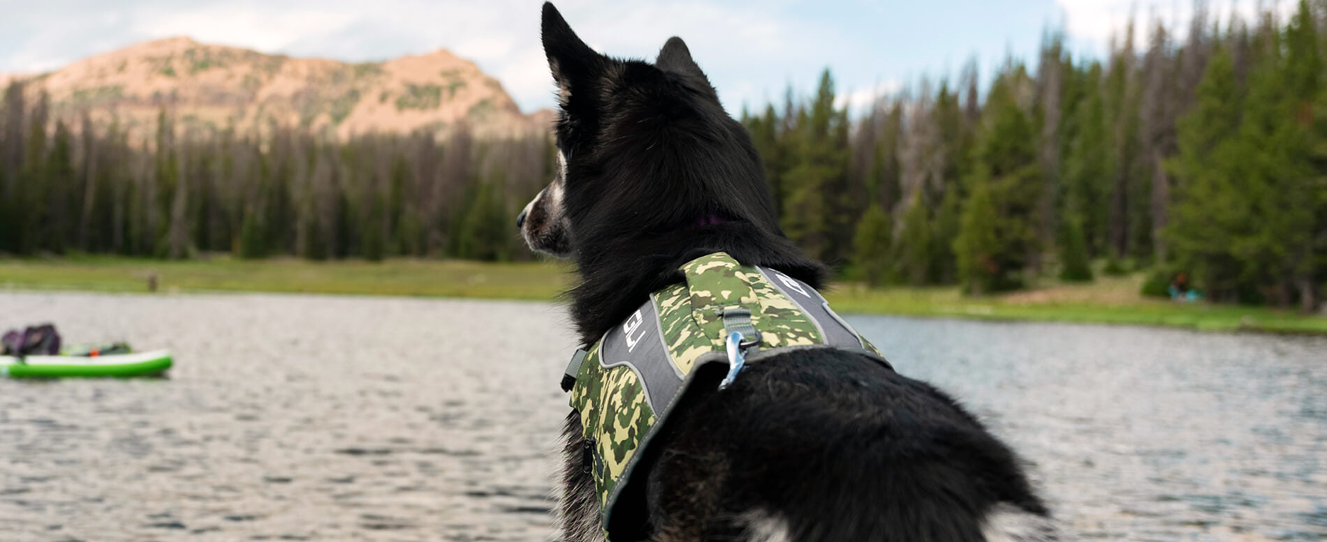 Outward Hound Granby Dog Life Jacket - Safe, Durable & Ready For Adventure  