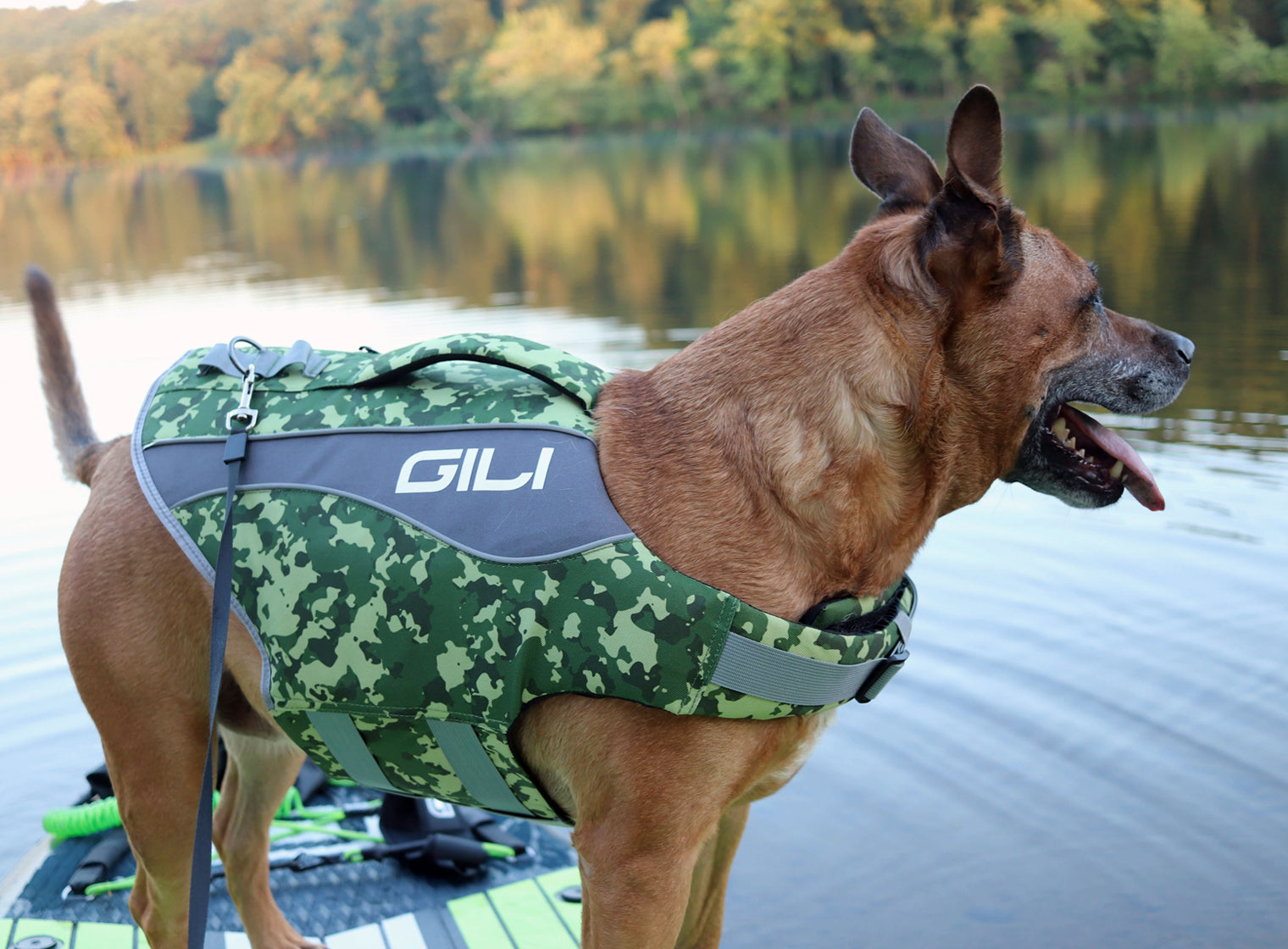 Dog hotsell camo vest